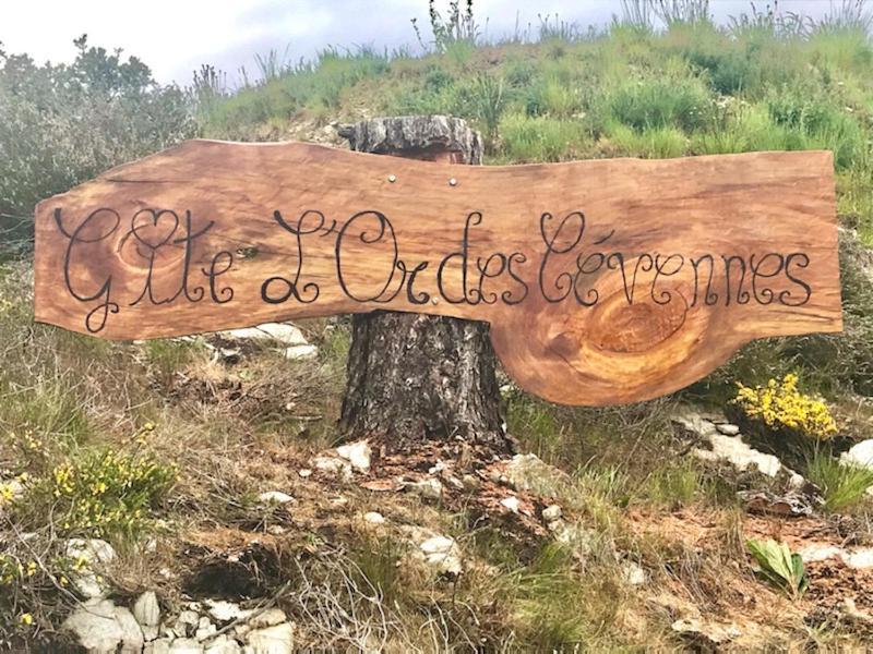 Gite L'Or Des Cevennes Saint-Andre-Capceze 외부 사진