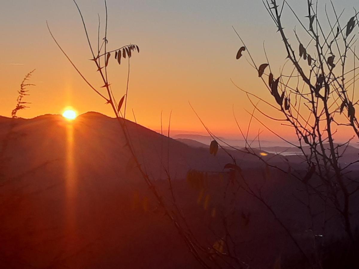 Gite L'Or Des Cevennes Saint-Andre-Capceze 외부 사진
