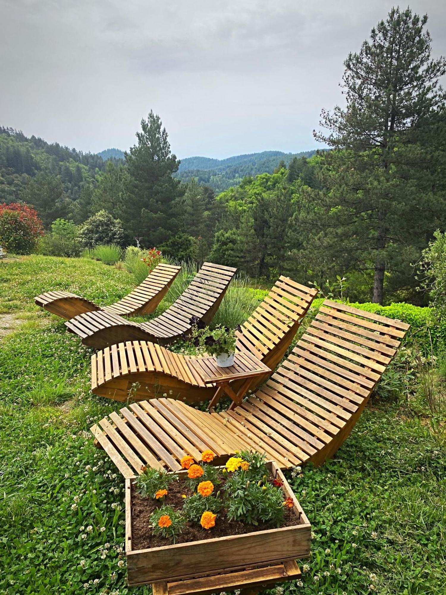 Gite L'Or Des Cevennes Saint-Andre-Capceze 외부 사진