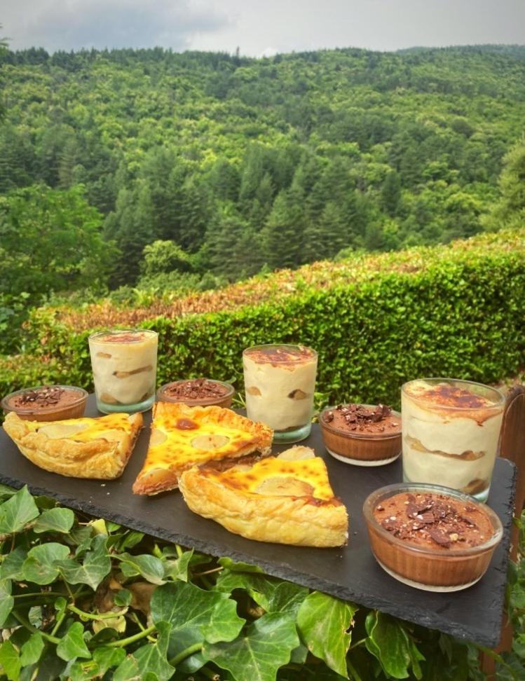 Gite L'Or Des Cevennes Saint-Andre-Capceze 외부 사진