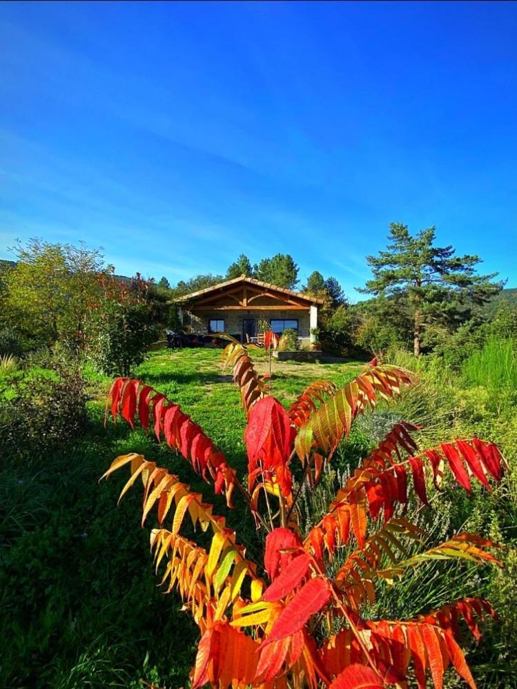 Gite L'Or Des Cevennes Saint-Andre-Capceze 외부 사진